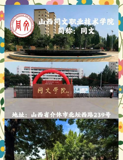 山西同文职业技术学院