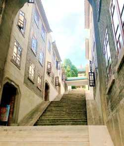 武汉大学