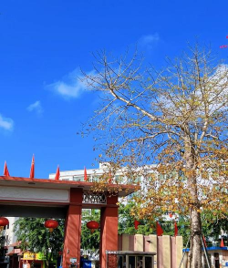 丽江市文昌中学