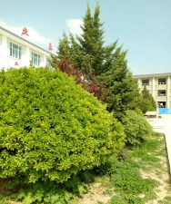礼县崖城乡初级中学