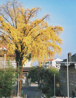 怀远县实验中学