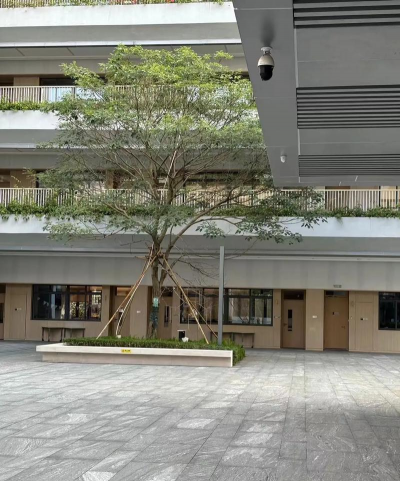 国王精英中学