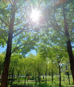 丽江高等学校