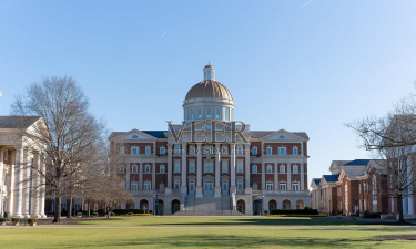 纽波特大学
