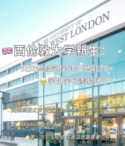 西伦敦大学
