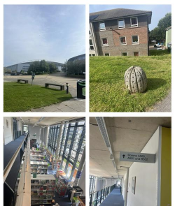 布莱顿大学