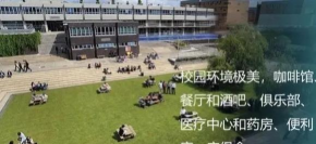 布鲁内尔大学