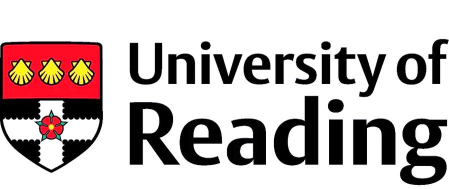 雷丁大学