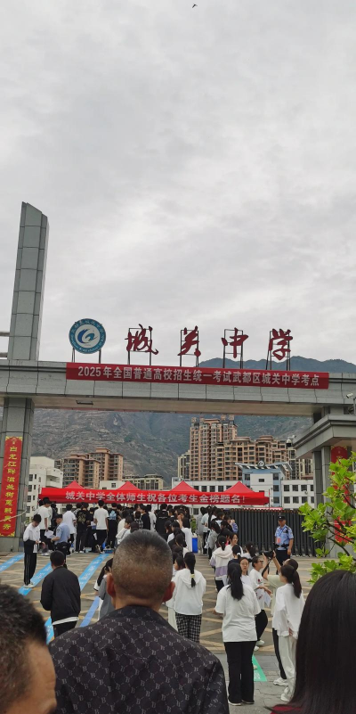 武都县城关中学