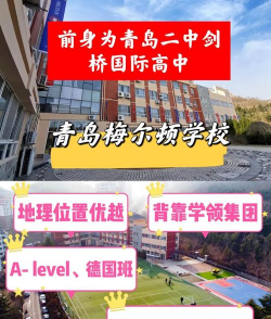 梅尔顿学院