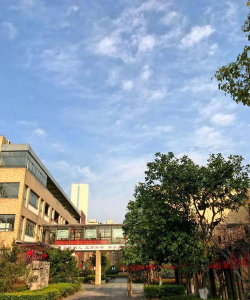 上海南汇下沙中学