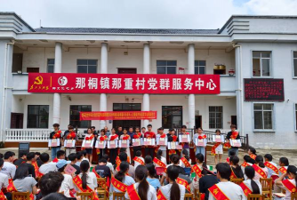 隆安县那桐镇初级中学
