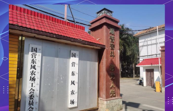 广西国营东风农场学校