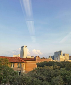 卡勒顿学院