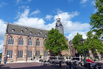 卢顿大学