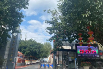 四川省绵阳市开元中学