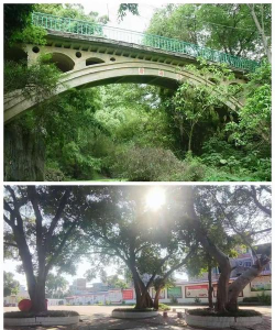 武鸣县府城高级中学