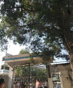 南宁市苗圃行动华光女子高中
