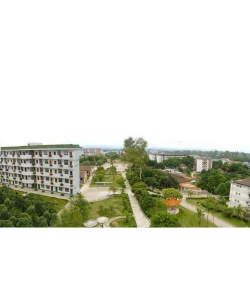 南宁市高峰林场职工子弟学校