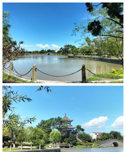 温岭市新河镇中学