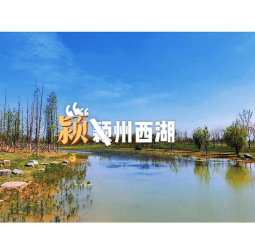 颍州区西湖景区渔业职业初中