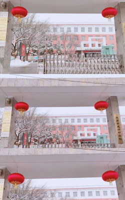 艾亭镇成才中学