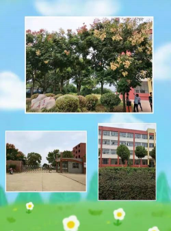 界埠中学