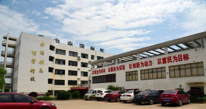 双峰学校