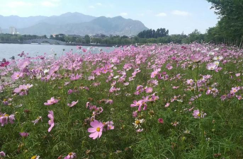福建中医药大学