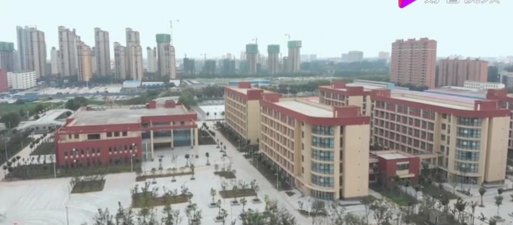 通许县朱砂乡一中