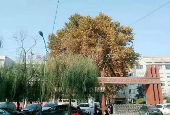 济南市第十八中学
