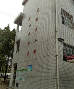 安乡县安凝乡张九台中学户外活动场地