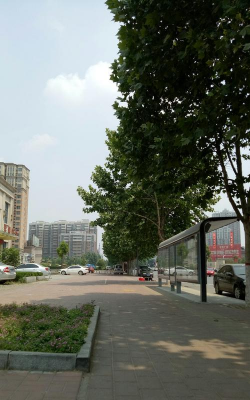 许昌技术经济学校户外活动场地