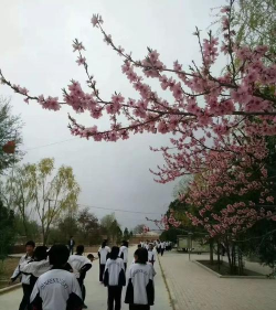 会宁县刘寨中学户外活动场地