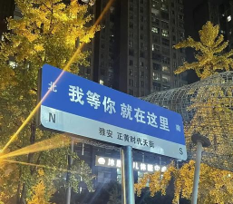 雅安职业技术师范学院