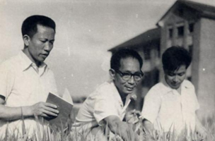 国立竹东高级中学户外活动场地