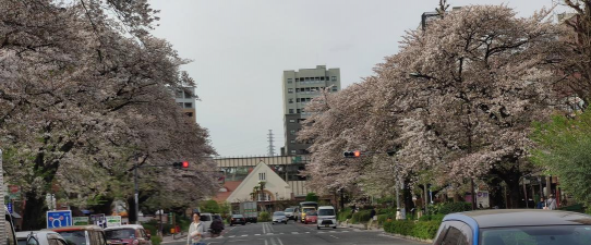 国立新庄高级中学户外活动场地
