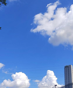 高雄市天主教明诚高级中学户外活动场地