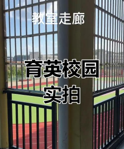 青岛华侨学校新育英户外活动场地