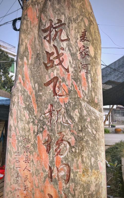 桃园县立东安国中户外活动场地