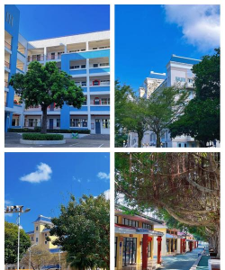 丽江市文昌中学户外活动场地