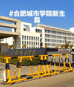 合肥城市学院户外活动场地