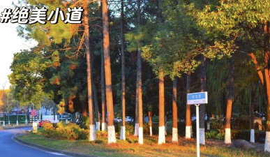 衢州学院户外活动场地