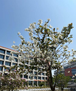 惠州工程职业学院户外活动场地