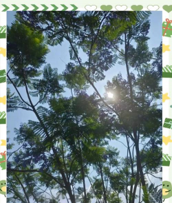内江卫生与健康职业学院户外活动场地