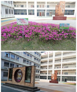 蚌埠市第三十一中学户外活动场地