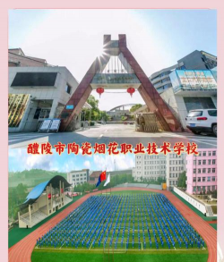 醴陵陶瓷烟花职业技术学校户外活动场地