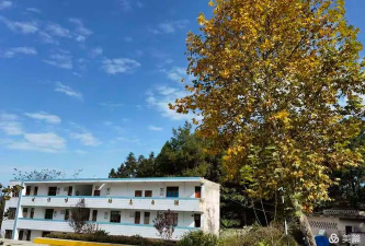 果瓦中学户外活动场地