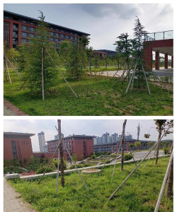 长葛市第三职业高级中学户外活动场地