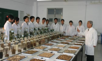 聊城市卫生学校户外活动场地